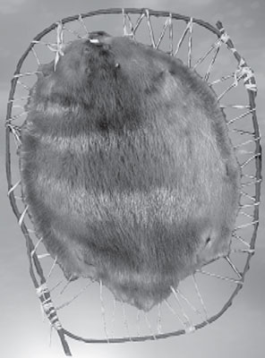 Pelt Pelt